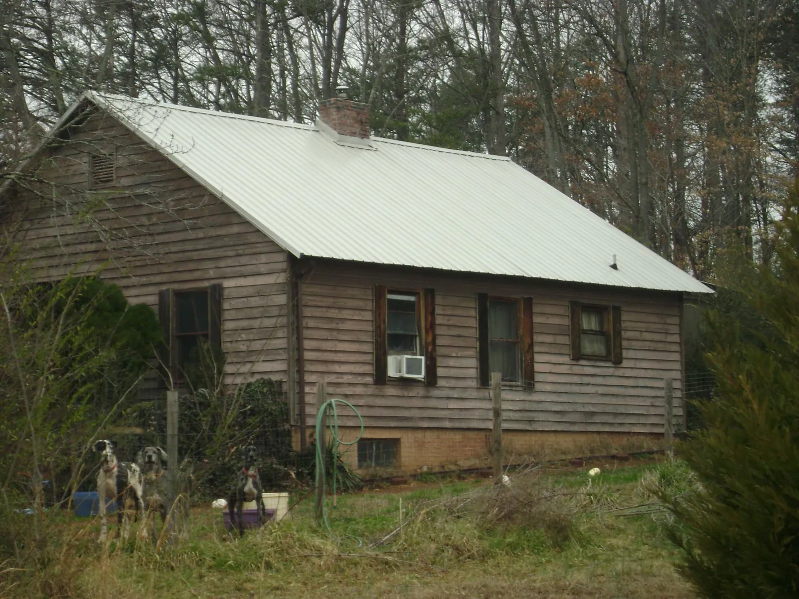 White metal roof on an old wood sided farmhouse, from a Asphalt Shingle Roof Repair job in Revloc